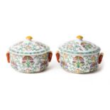 A PAIR OF CHINESE LIDDED POTS