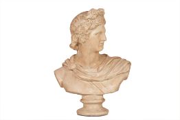 A BUST OF APOLLO