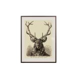 A LARGE FRAMED POSTER OF A STAG’S HEAD