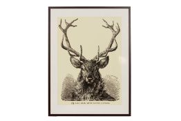 A LARGE FRAMED POSTER OF A STAG’S HEAD