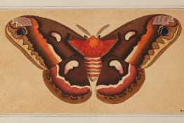 FOUR NATURAL HISTORY ENGRAVINGS OF BUTTERFLIES (1)