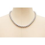 A SINGLE STRAND GREY AKOYA PEARL NECKLACE (2)