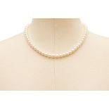 A SINGLE STRAND AKOYA PEARL NECKLACE