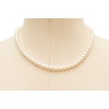 A SINGLE STRAND JAPANESE AKOYA PEARL NECKLACE