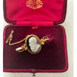 Antique Cased 15ct Gold and Cameo Brooch - 47mm x 25mm - 5.4 grams.