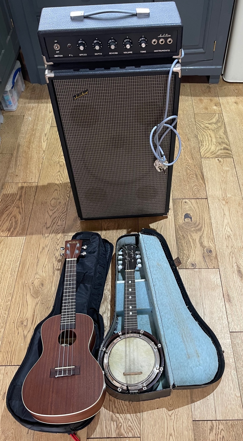 Lot of Kala Ukelele, Reliance Banjo and Audition Amplifier Speaker