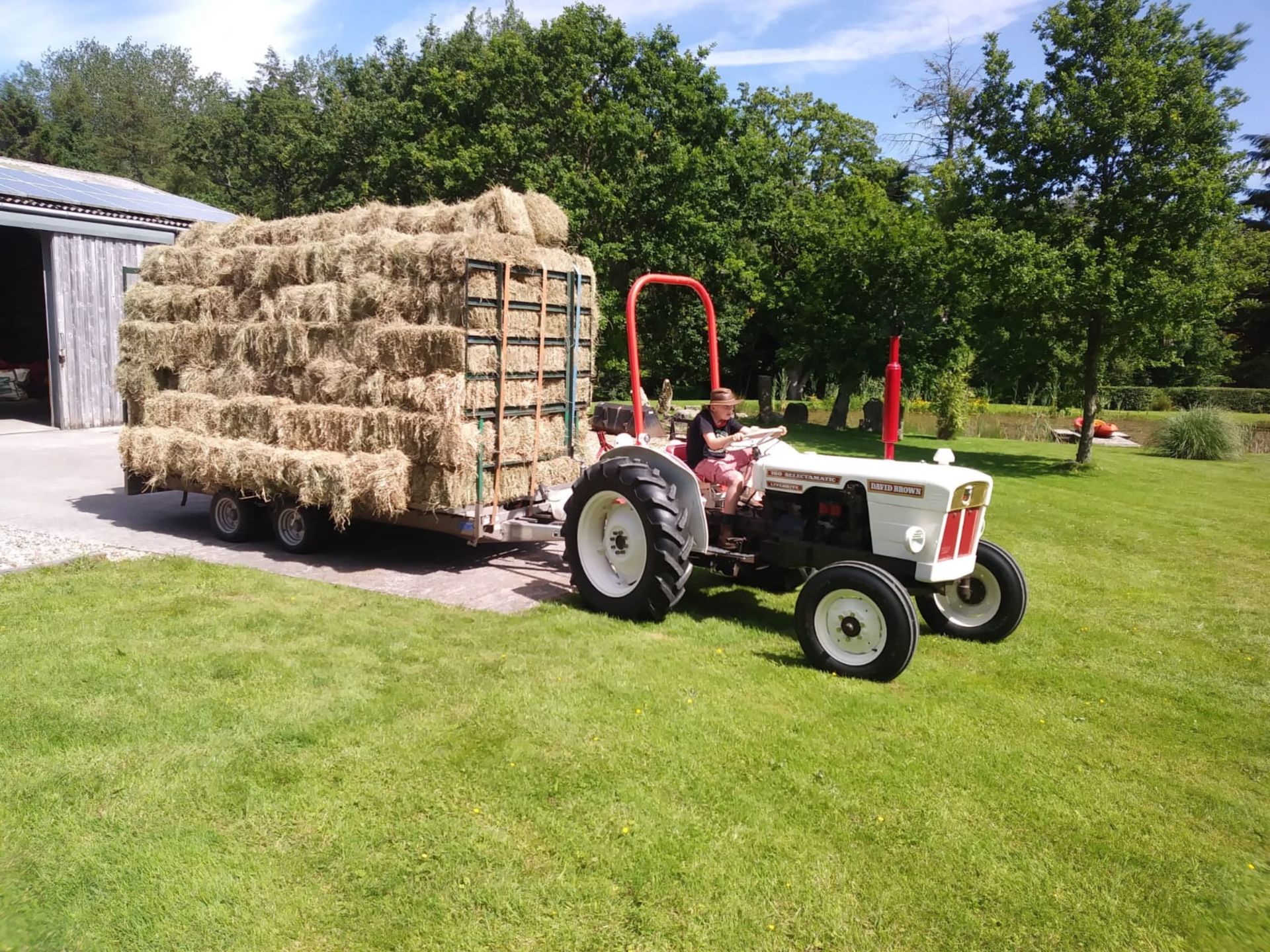 25 CONVENTIONAL BALES OF 2021 MEADOW HAY