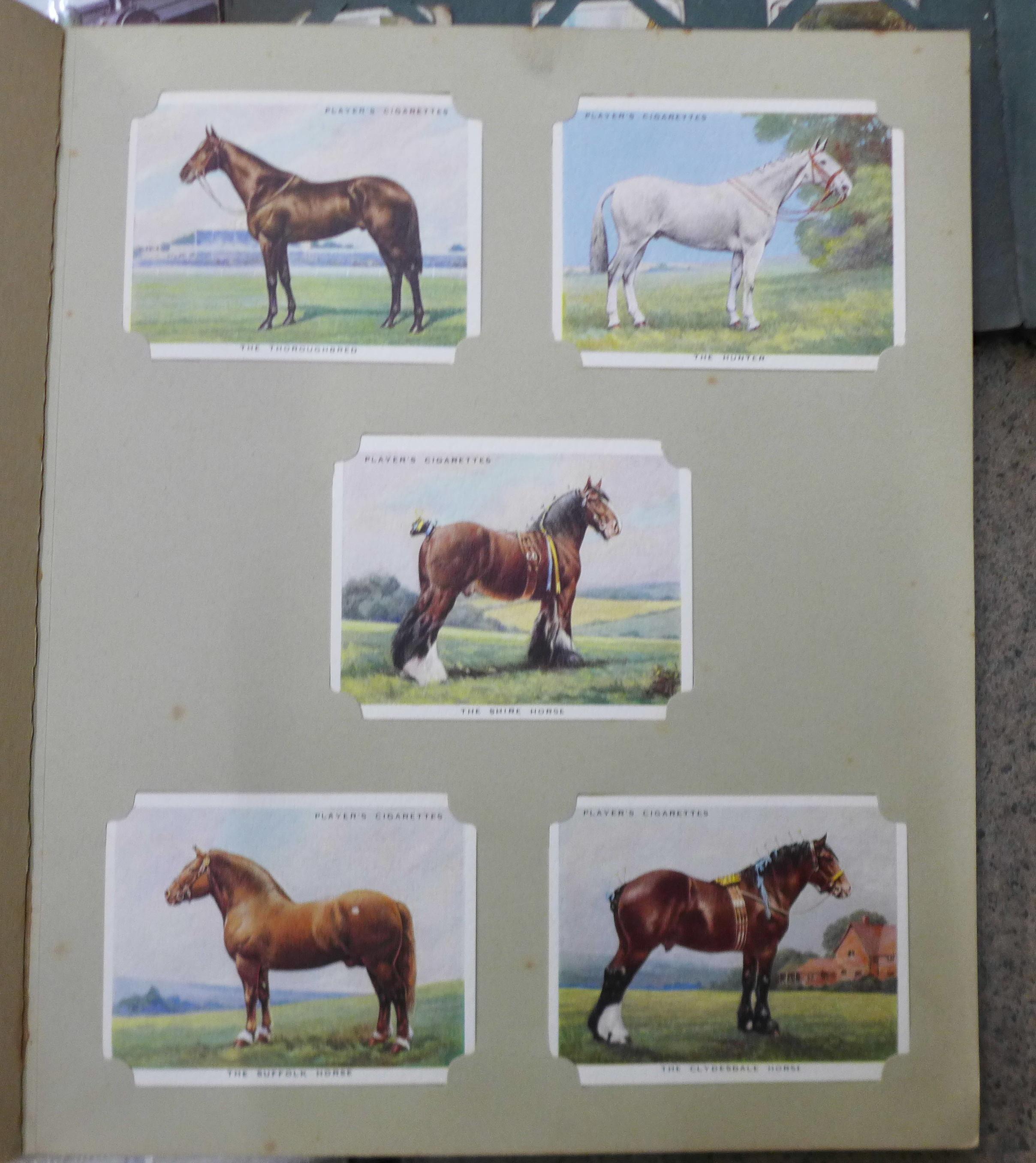 A large collection of cigarette cards - Bild 14 aus 24