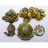 Military uniform buttons and three badges, Artists Rifles, Cornwall a/f and Prince Alfred's Guard