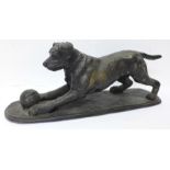 After Pierre-Jules Mene, a bronze figure of a Terrier playing with a ball, length 26cm