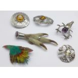 Six Scottish brooches including Edinburgh hallmark and sterling silver stag's head heather holder