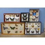 Five sets of framed butterflies