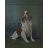 John H. Owen, Welsh Springer Spaniel, pastel, 59 x 47cms, framed