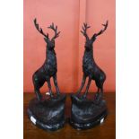 A pair of French style bronze stags, on black marble plinths, 43cms h