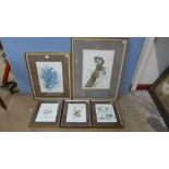 Two signed Patrick A. Oxenham limited edition wildlife prints and three other prints