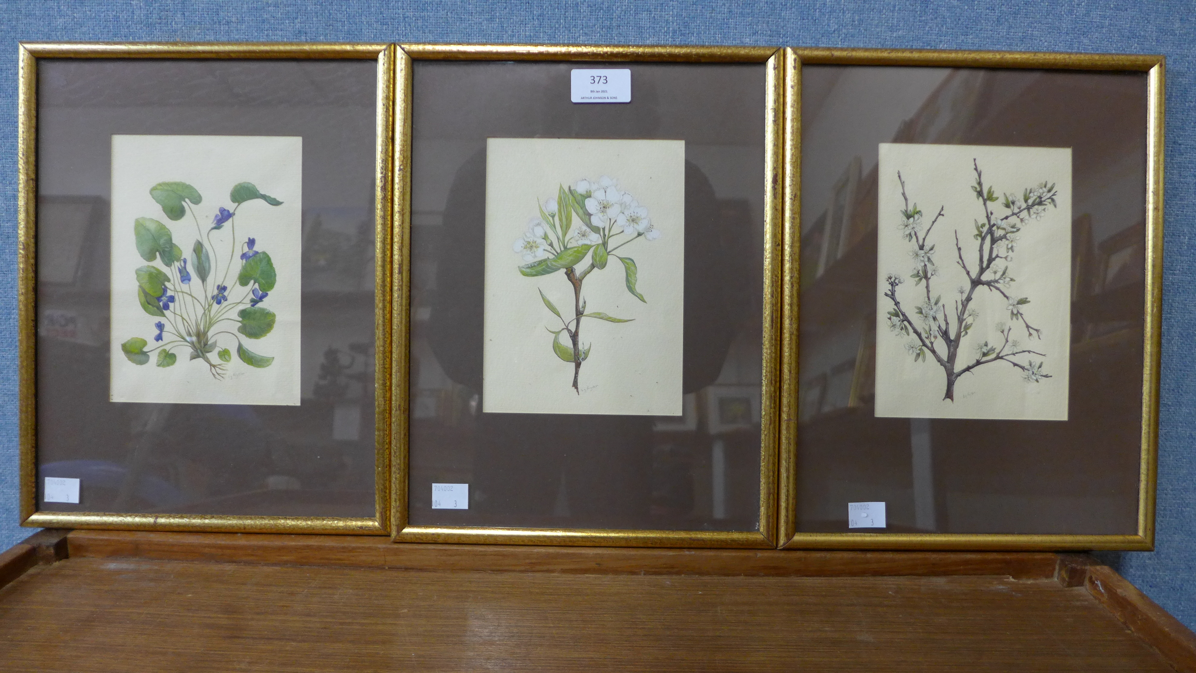 Liz Rigder, Three botanical studies, watercolour, framed