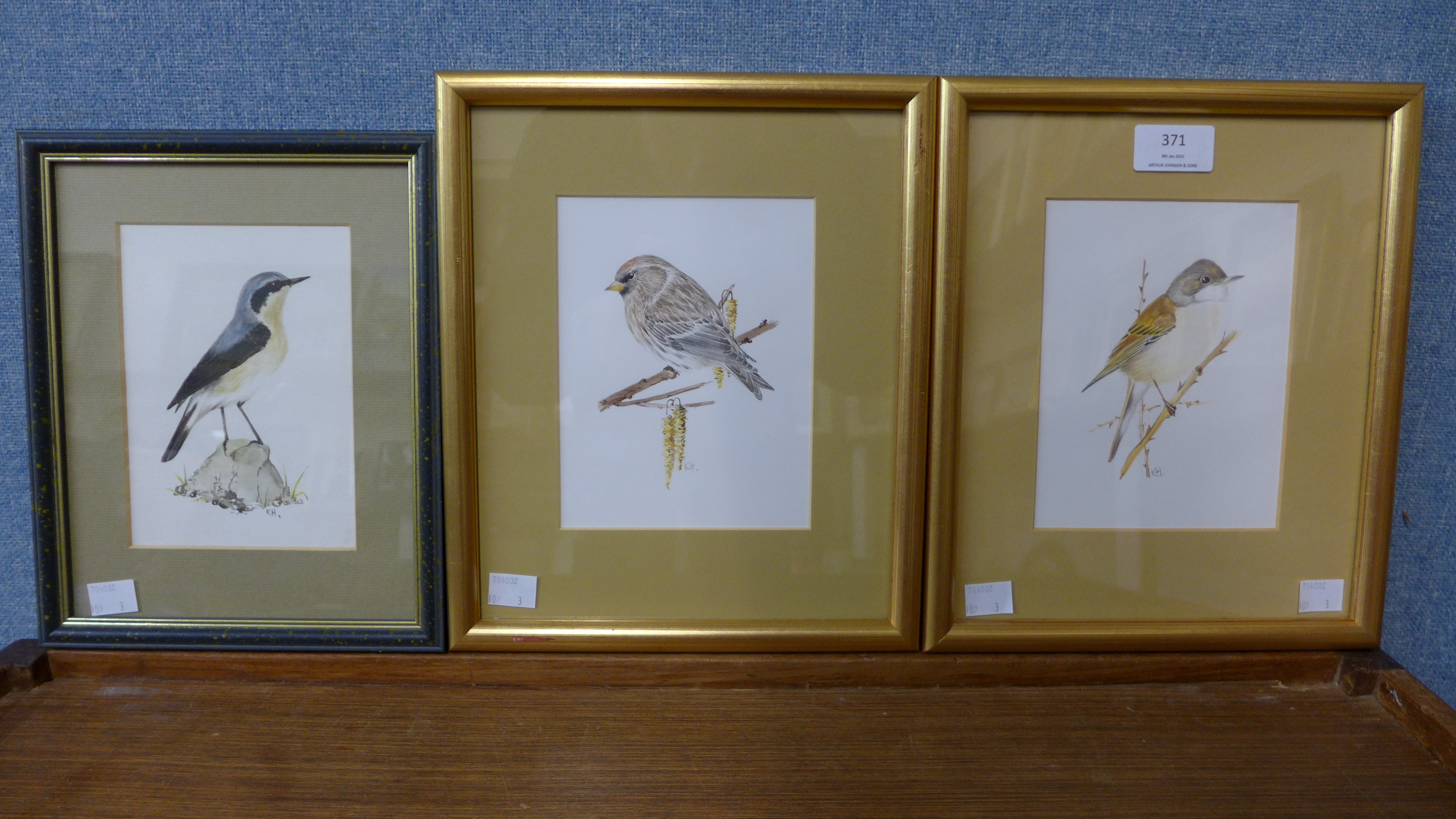 * Kitt, three bird studies, watercolour, framed