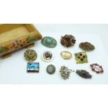 Twelve vintage brooches including micro mosaic, cameo and butterfly wing