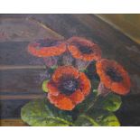 J. Avison, still life of gloxinia, oil on board, 39 x 50cms, framed