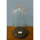 A Victorian glass dome, on ebonised stand, 36cms h