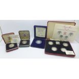 Royal Mint issue coins;- 1984-1987 UK £1 silver proof coin collection, box a/f, two other silver £