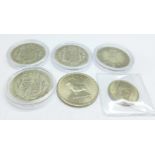 Six coins; four half crowns, 1899, 1907, 1908 and 1909, a Rhodesia 1964 Queen Elizabeth II half
