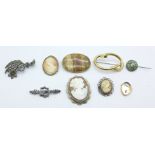 Seven brooches, a pin and a rolled gold fastener, (one cameo lacking pin, agate set cracked)