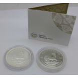 Two 1oz .999 Fine Silver Krugerrand coins;-2018 and 2020 which is Silver Proof, the Krugerrand was