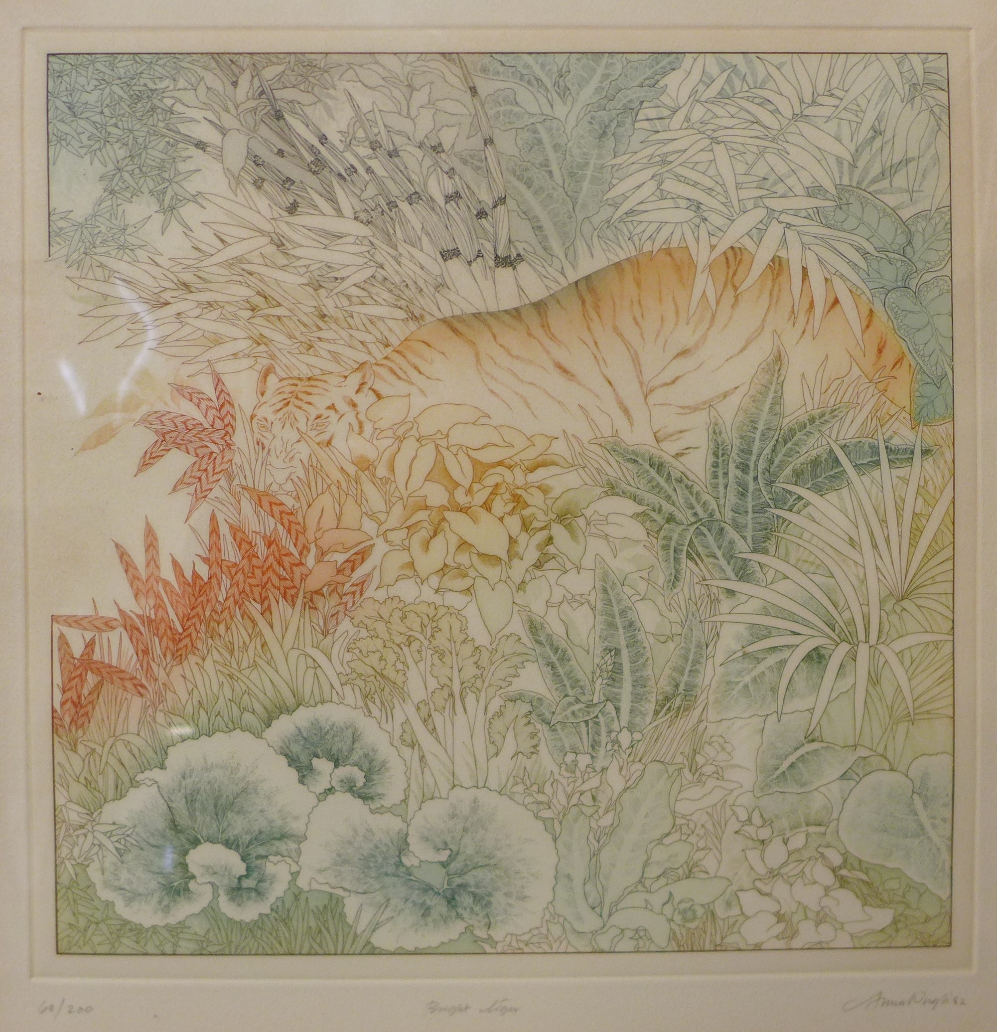 A signed Anna Pugh limited edition print, Bright Tiger, no. 68/200, 40 x 39cms, framed