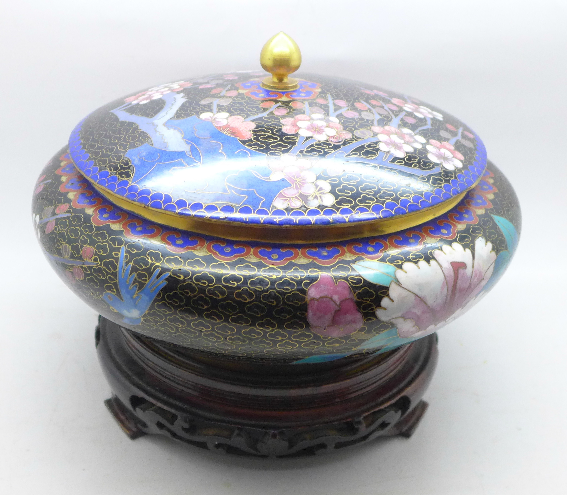 A cloisonne lidded pot decorated with cherry or prunus blossom and birds on a wooden stand, 23cm