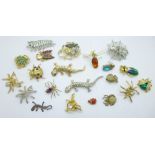 Twenty-one brooches including insects