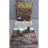 A collection of World of Wildlife publications, approximately 70 in total **PLEASE NOTE THIS LOT