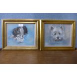 * Saint, two studies of dogs, pastel, framed