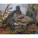 Mona Oliver, Woodcocks, gouache, dated '67, 30 x 37cms, framed
