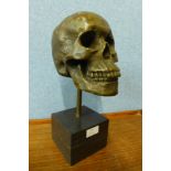 A bronze skull, on black marble socle, 36cms h