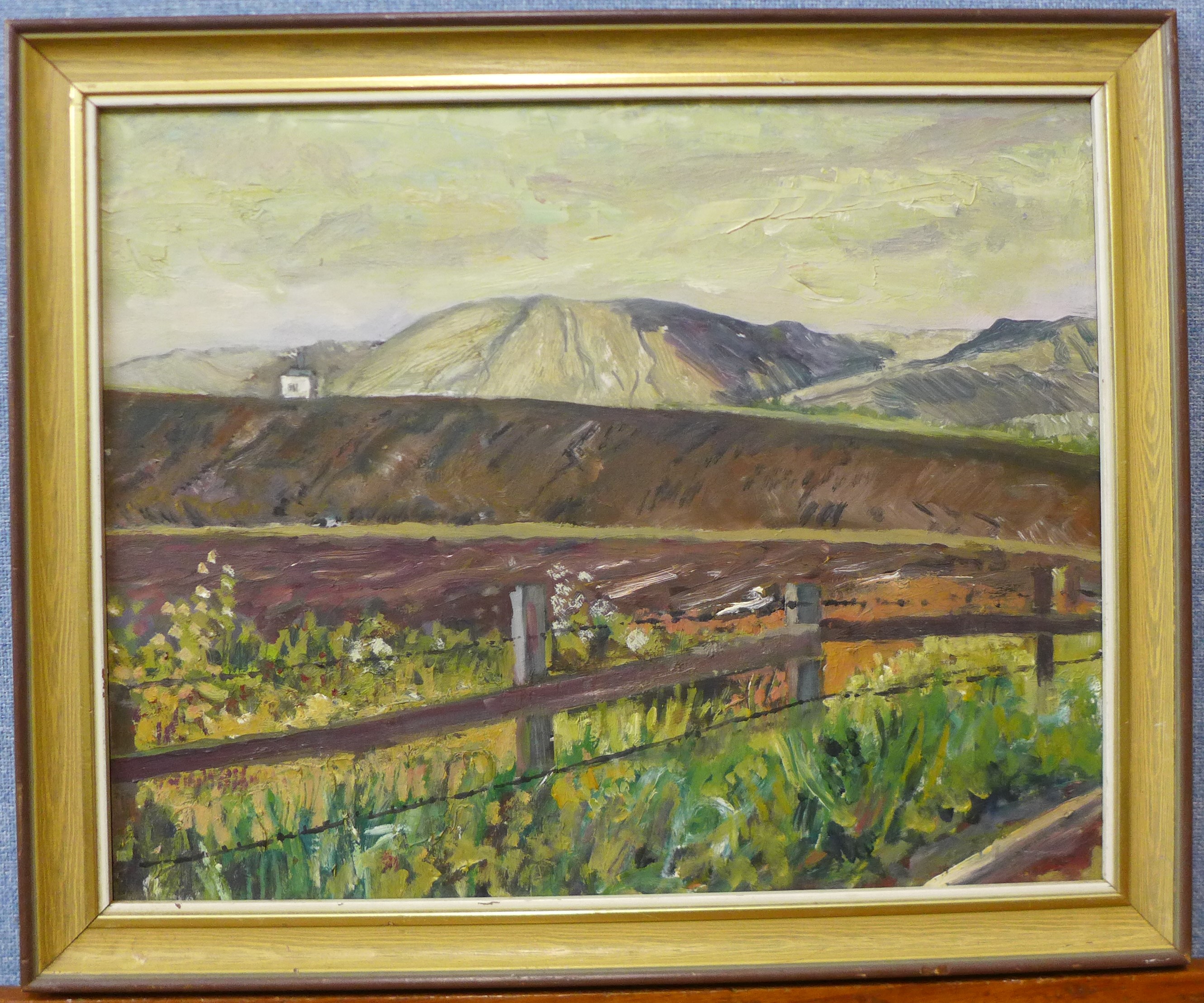 Noel Brannan, Desford Evening, oil on board, 34 x 43cms, framed - Image 2 of 2