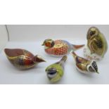 Five Royal Crown Derby bird paperweights, Collectors Guild Crested Tit, Great Tit, Coot, Pheasant