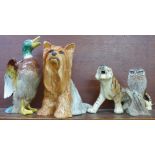A Beswick fireside Yorkie, 2377, a/f, ear chipped, a model of an owl, signed M. Booth for Acorn, a