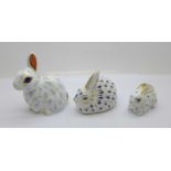 Three Royal Crown Derby rabbit paperweights including Snowy Rabbit, June Branscombe design, John