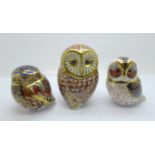 Three Royal Crown Derby paperweights, Tawny Owl with gold stopper and two other owls with silver