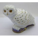 A Royal Crown Derby paperweight, Snowy Owl, Collectors Guild, with gold stopper