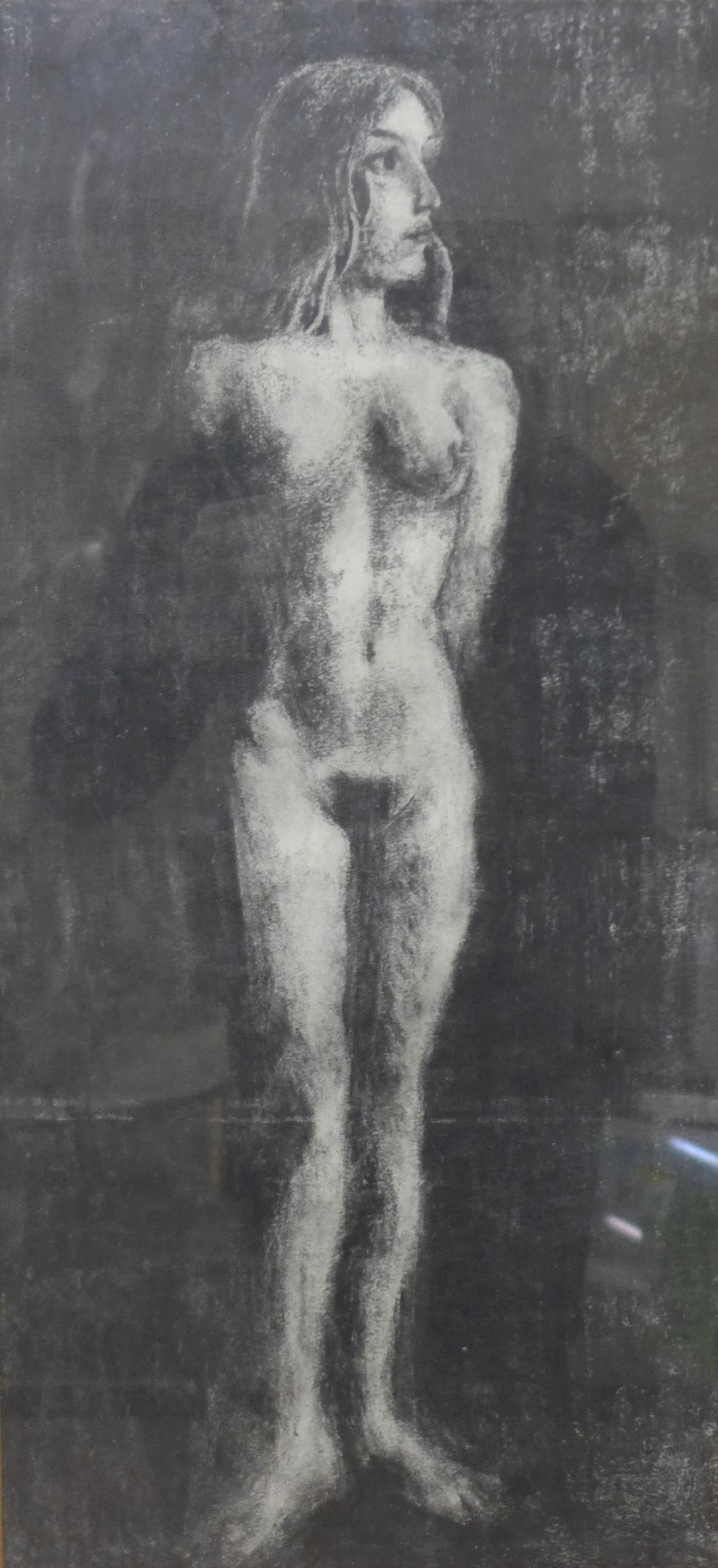 British School (mid 20th Century), portrait of a female nude, charcoal, 52 x 24cms, framed, Kim