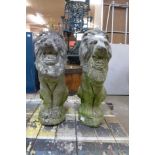 A pair of concrete garden lions