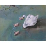Iain Ward, swans and swanlings, oil on board, 39 x 50cms, framed