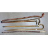 Six walking canes/sticks, one with silver ferrule, one with white metal top