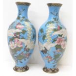 A pair of Japanese cloisonne vases, decorated with cranes and flowers on a sky blue ground, Meiji