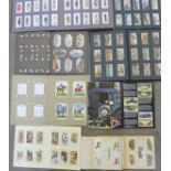 A collection of nine complete cigarette card albums of genuine vintage cigarette cards, from 1915