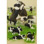 Rex Collins, study of Border Collies, watercolour, unframed