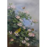 Robin Gibbard (1930-2014), blue tits amongst blossom, watercolour, 52 x 29cms, and a greenfinch with