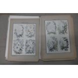 J. Pillement, (1719-1808), an album of prints, Fleurs Oiseaux et Fantaises, published c.1920's/30's,